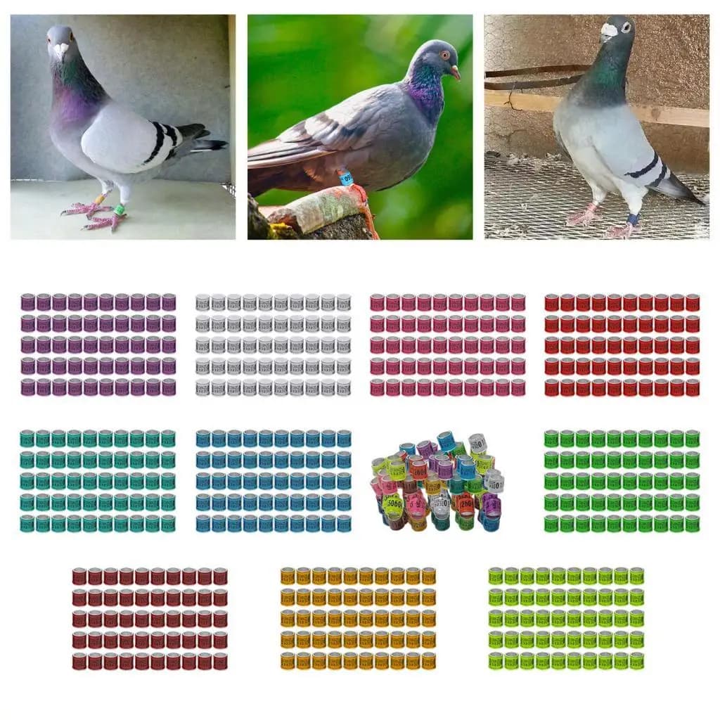 50x Anelli per Zampe di Piccioni da Corsa in Alluminio Riutilizzabili 2023, 8mm, per Quaglie, Galline, Fringuelli, Polli, Volatili, Canarini, Innamorati