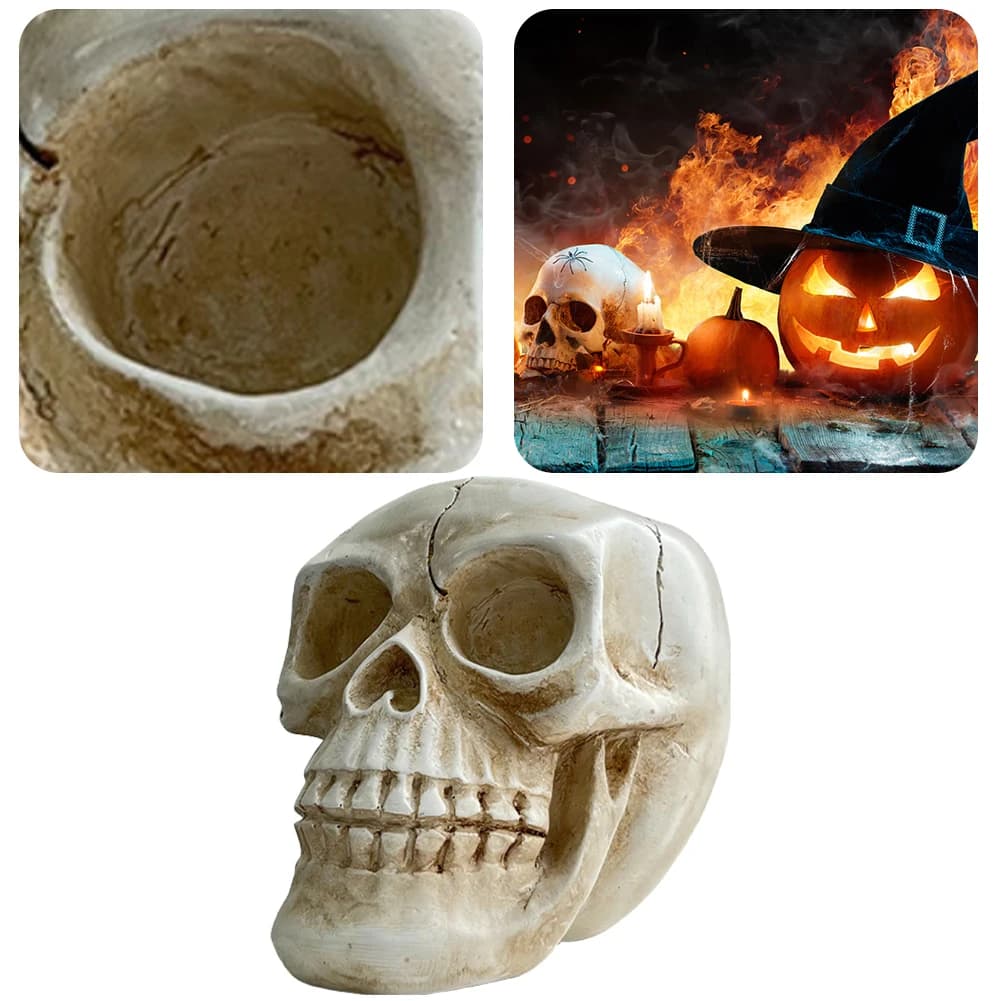 Ornament with Resin Skull Pot for Fat Plants Vases for cactus Support Scheleton Flower Pot Planter Sculpture Garden Decoration