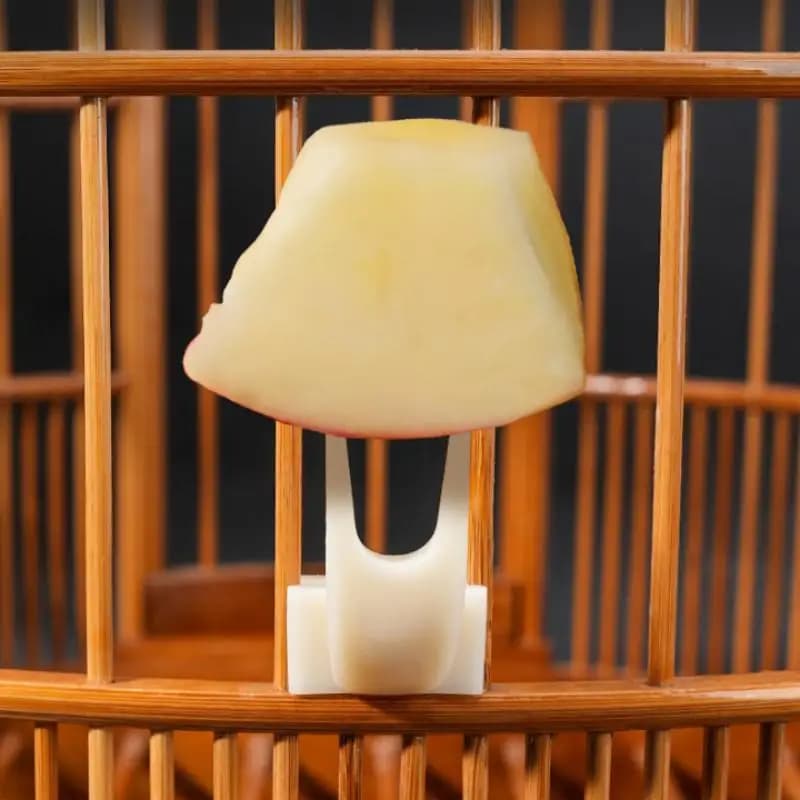 5 Pcs Bird Feeding Fruit Forks BPA Free Plastic Food Rack Easy Install Parrot Feeder for Travel Bird Carrier Pet Supplies