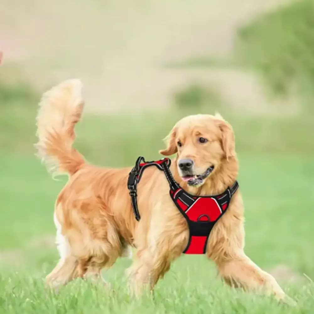 Reflective No Pull Dog Harness Vest Adjustable Breathable Dog Chest Strap Nylon Dog Leash Vest Large and Medium-sized Dog