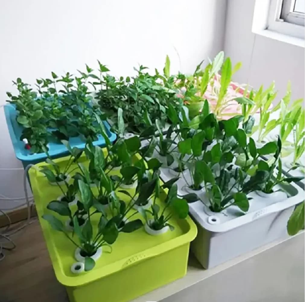 Box for planting cultivation off ground with air pump Kit for hydroponic cultivation 24 holes Vegetable semina Vegetable vases for nursery