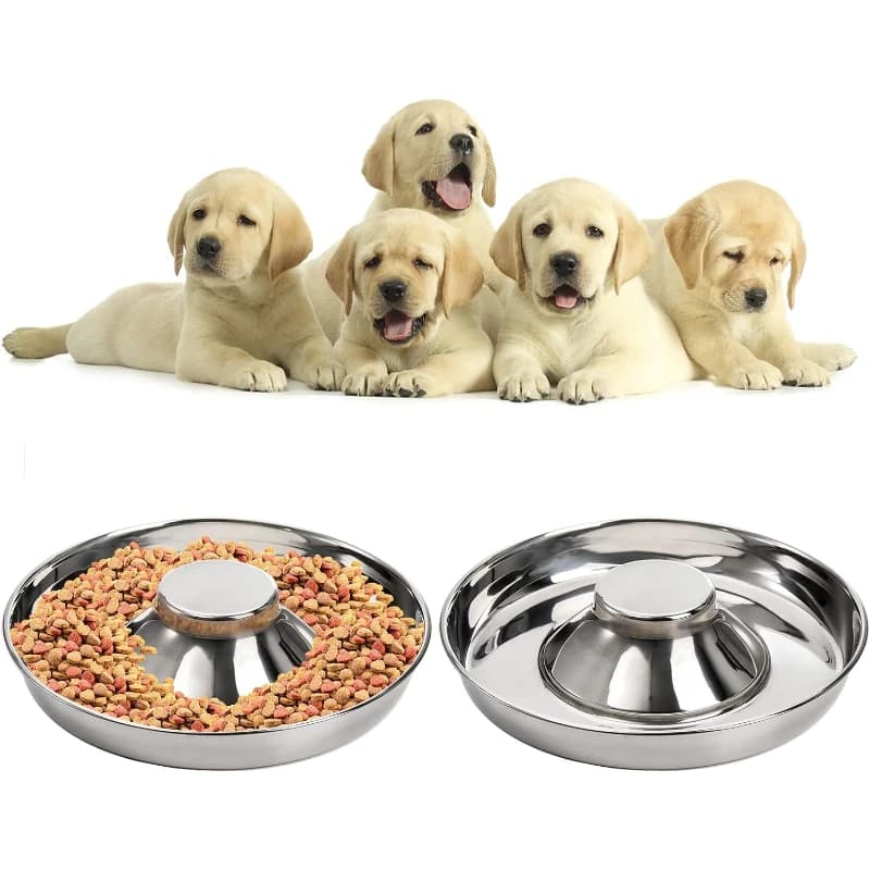 Stainless Steel Pet Slow Feeder Double Bowl Anti‑Ant Leak‑Proof Water Dispenser Non‑Tip Anti‑Slip Dog Cat Food Bowl