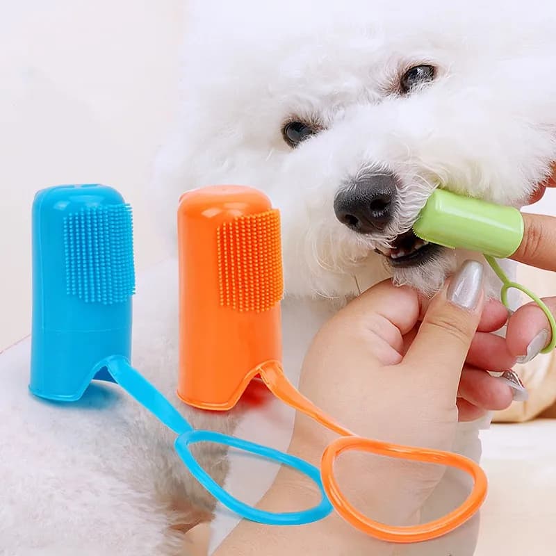 Set di spazzolini da denti per cani Spazzolini morbidi per la pulizia dei denti di cani Igiene orale Bocca pulita 3 pezzi Spazzolino da denti per gatti Toelettatura di cani Forniture per animali domestici