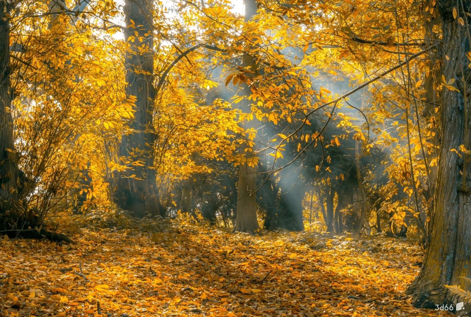 Carta da parati su misura dipinta a mano con paesaggio forestale, scenario selvaggio, carta da parati con foglie gialle, decorazione con albero grande della foresta