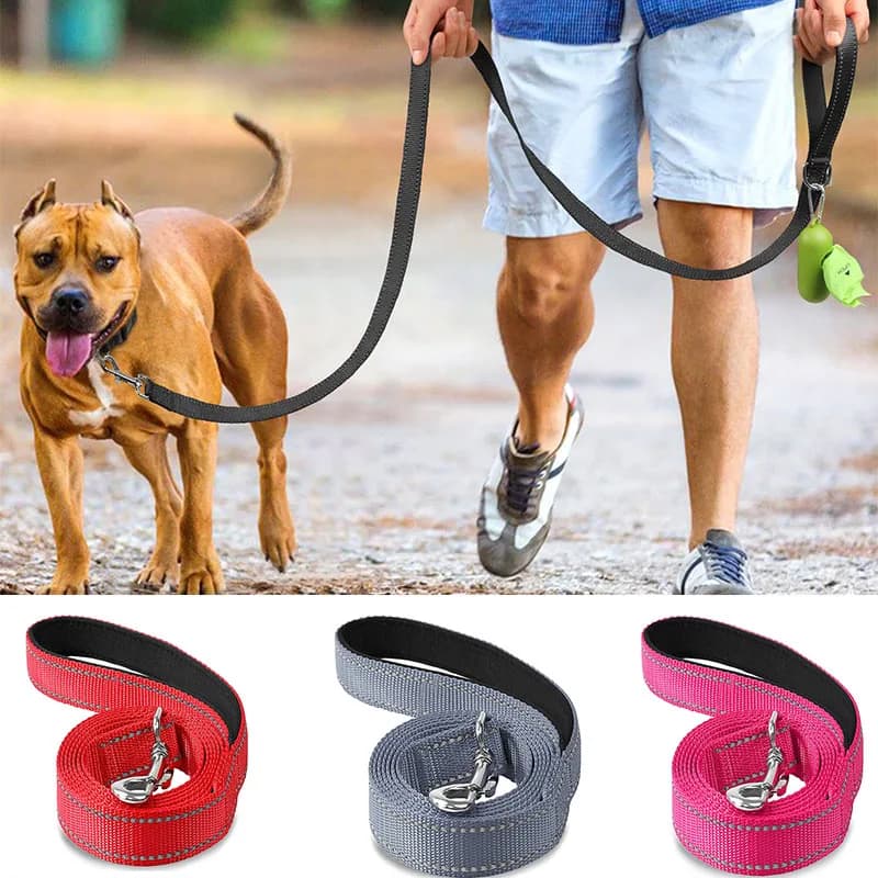 Gatti Cani Imbracatura Collare Cinghia di piombo Riflessione notturna Cane Corda da traino per animali domestici Guinzaglio da addestramento per passeggiate per animali GWFD03