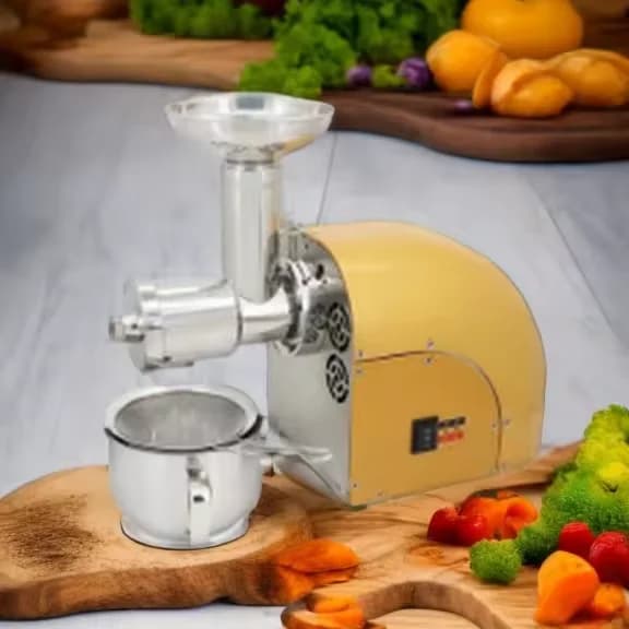 300 W 304 Stainless Steel Multifunction Blender Powerful Slow Juice