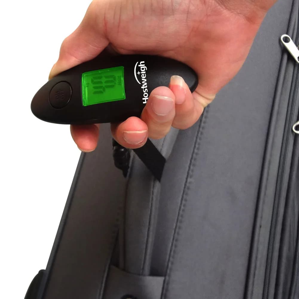 Bilancia Digitale Portatile LCD 40kg/100g con Funzione di Pesatura per Valigie e Gancio per Pesca, Ideale per Viaggi