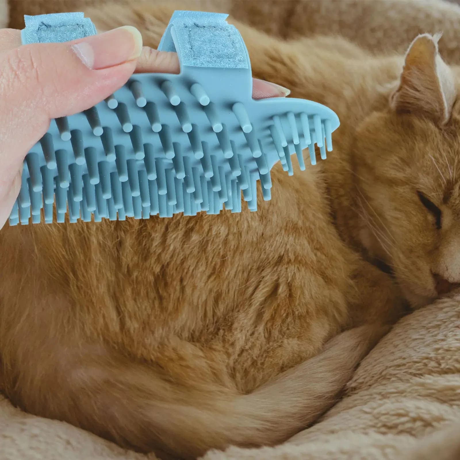 Cat Silicone Corner Massage Brush Self Groomer Tool Soft Silicone Pet Wall Comb Hair Removal Installation Cat Grooming