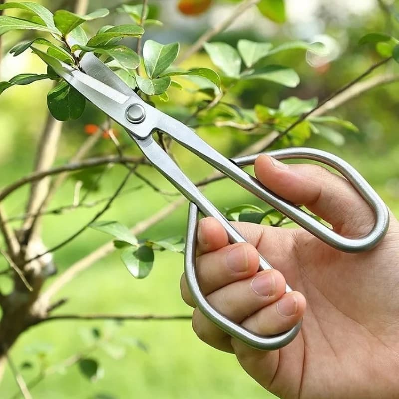Forbici per Foglie Delicate, Attrezzi per Bonsai, Forbici per Rami, Forbici da Giardinaggio in Acciaio Inossidabile con Manico Allungato, Forbici per Potatura di Germogli e Foglie Delicate