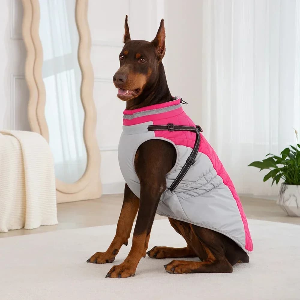 Giacca Impermeabile Invernale per Cani con Imbracatura - Cappotto Caldo per Animali Domestici di Piccola e Grande Taglia