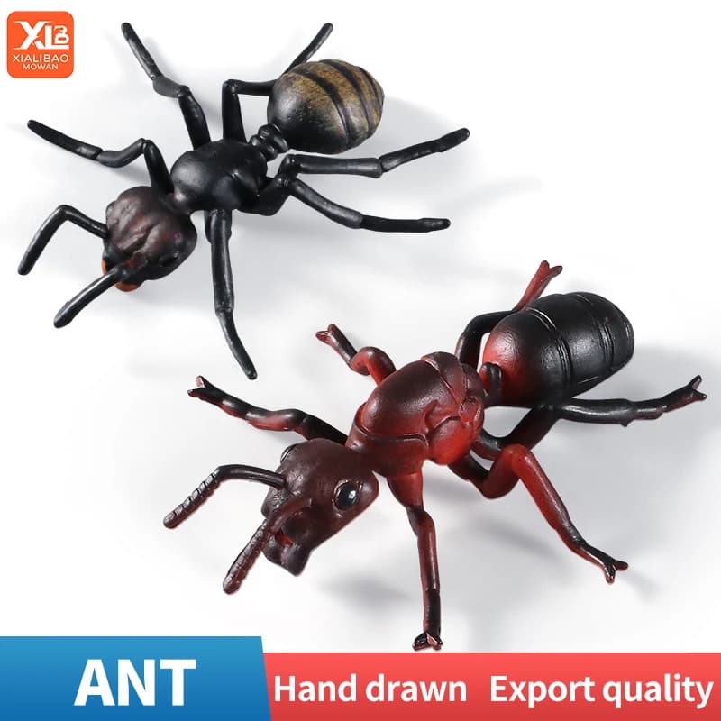Simulazione Solido Insetto Modello Animale Formica Artrropod Action Figures Giocattoli Cognitivi Educativi per Ragazzi E Ragazze Regali per Bambini
