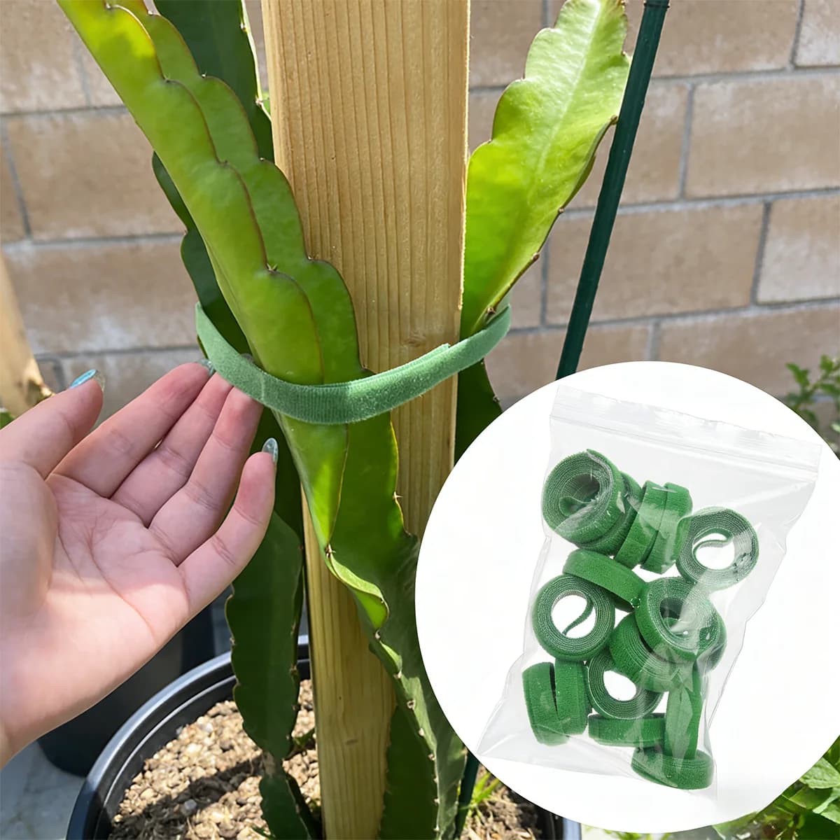 16 fascette riutilizzabili in nylon per piante, nastro regolabile con gancio e anello per piante in vaso da giardino