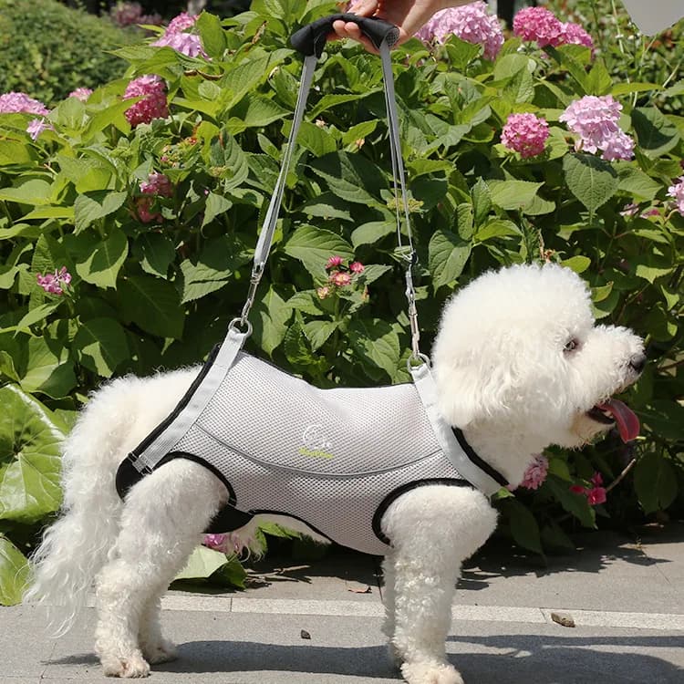 Pet Dog Hindleg Weakness Assist Booster Bag Teddy Going Out Sollevamento Zaino in rete Guinzaglio per cani Prodotti per animali domestici