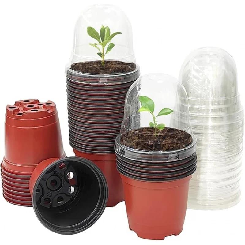 Vaso per vivaio per piante con cupola di umidità Morbido vaso per bambini, semi di alta qualità, Inizio dal coperchio