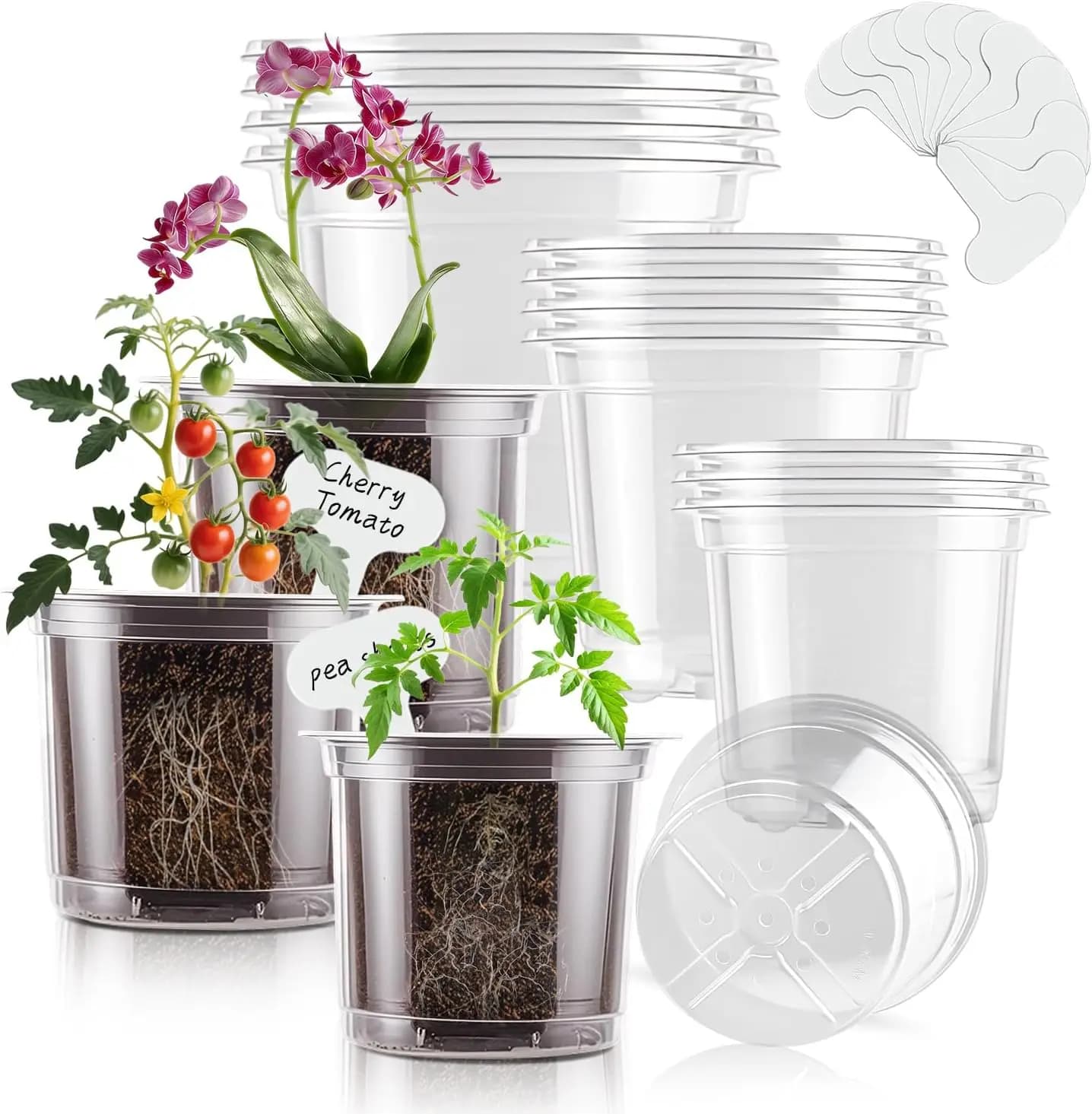 Vasi Trasparenti per Semenzaio 5/4/3.5 Pollici, 12 Pezzi con 15 Etichette, Vasi in Plastica per Semina e Fiori con Fori di Drenaggio per Trapianto di Piante Grasse, Stecche e Piantine