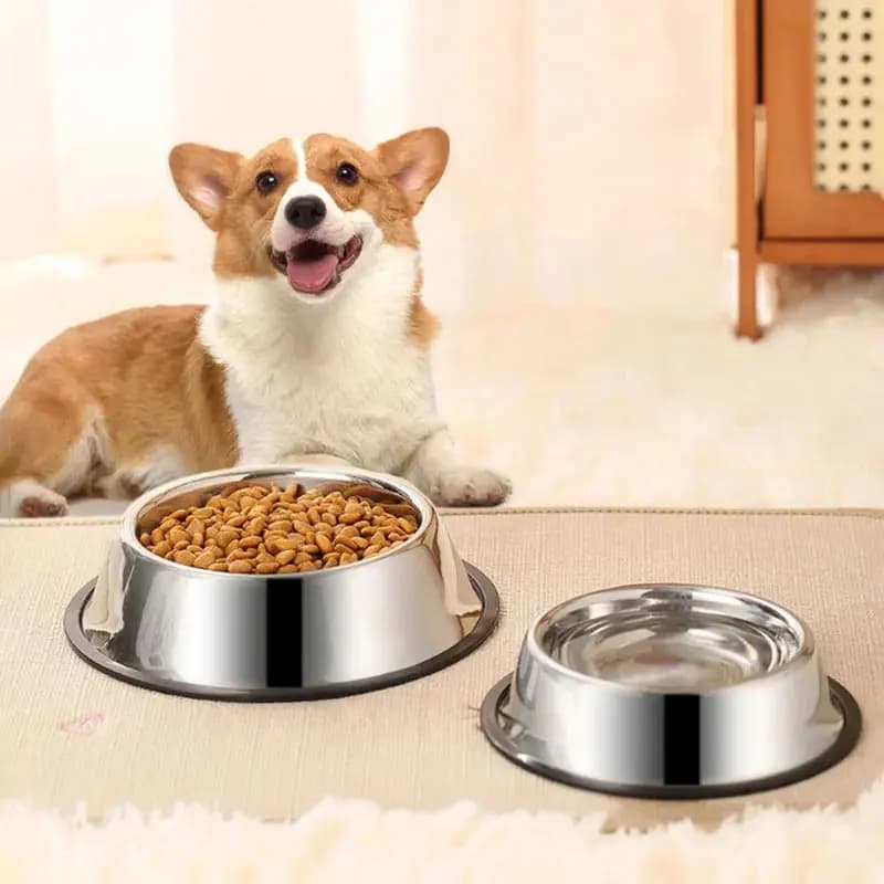 Ciotola per Animali in Acciaio Inox, 6 Diverse Dimensioni, Antiscivolo, Antimosche, Forma Rotonda, Ciotole per Cani e Gatti, Accessori per Alimenti, Articoli per Animali