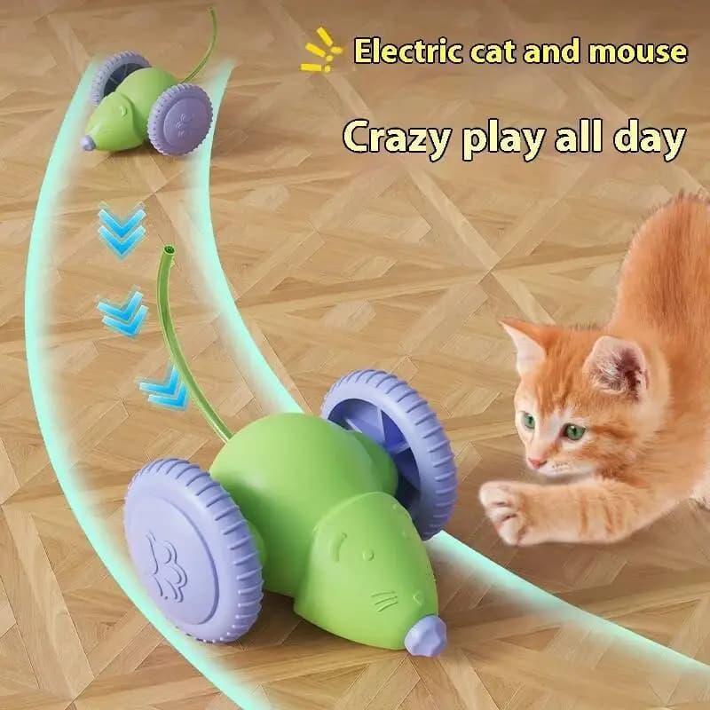 Giocattolo Interattivo per Gatti a Forma di Auto Elettrica, Ricaricabile, con Evitamento Intelligente degli Ostacoli, Prodotti per Animali Domestici