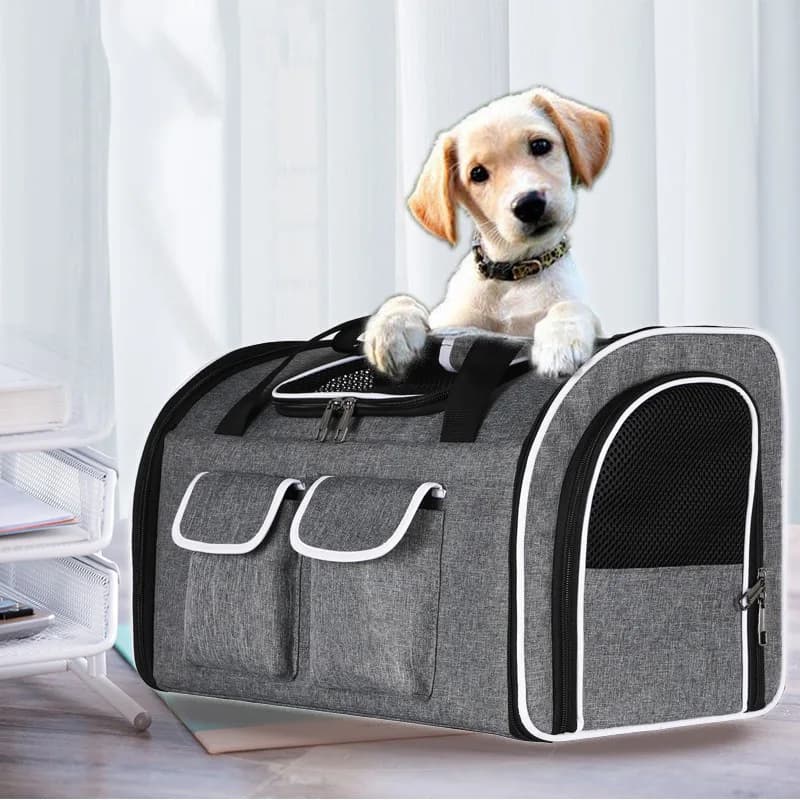 Zaino pieghevole per animali domestici Big Space, borsa da viaggio portatile per trasporto di astronauti, borsa a tracolla per gatti e cani