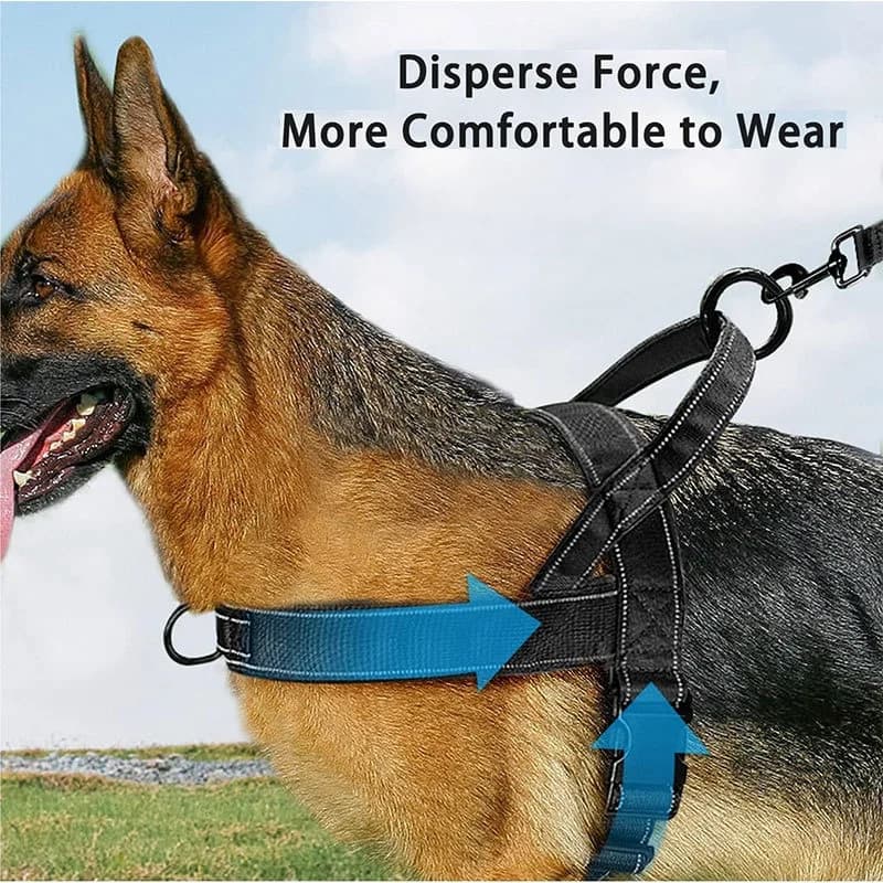 Imbracatura per Cani in Nylon Resistente, Imbracatura Anti-Trazione con Maniglia per Cani Piccoli, Medi e Grandi, Pastore Tedesco