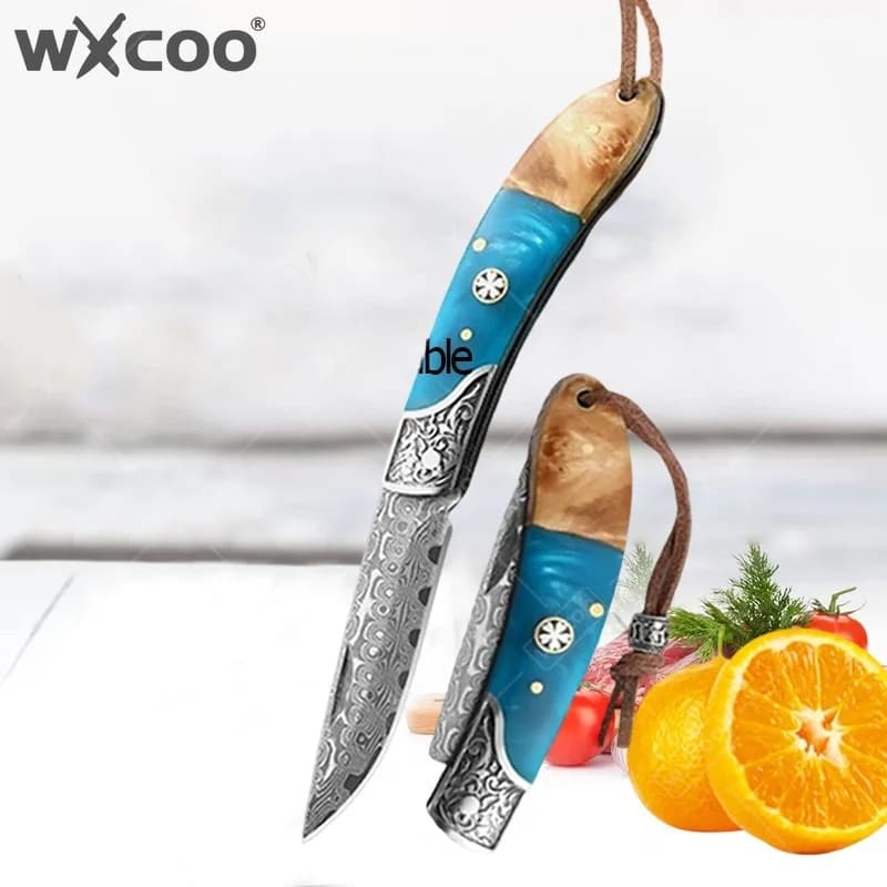 Coltello Pieghevole WXCOO in Acciaio Damascato, Trinciante per Carne, Coltello da Cucina Resistente, Coltello Pieghevole per Frutta, Miglior Regalo per Uomo