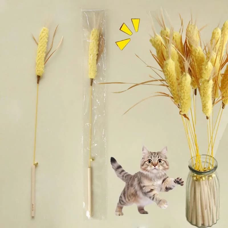 Giocattolo teaser per gatti Campana giocattolo interattivo stridulo con piume per gatti Giocattolo simulato per la pulizia dei denti dell'orzo Giocattolo per bastoncini per gatti