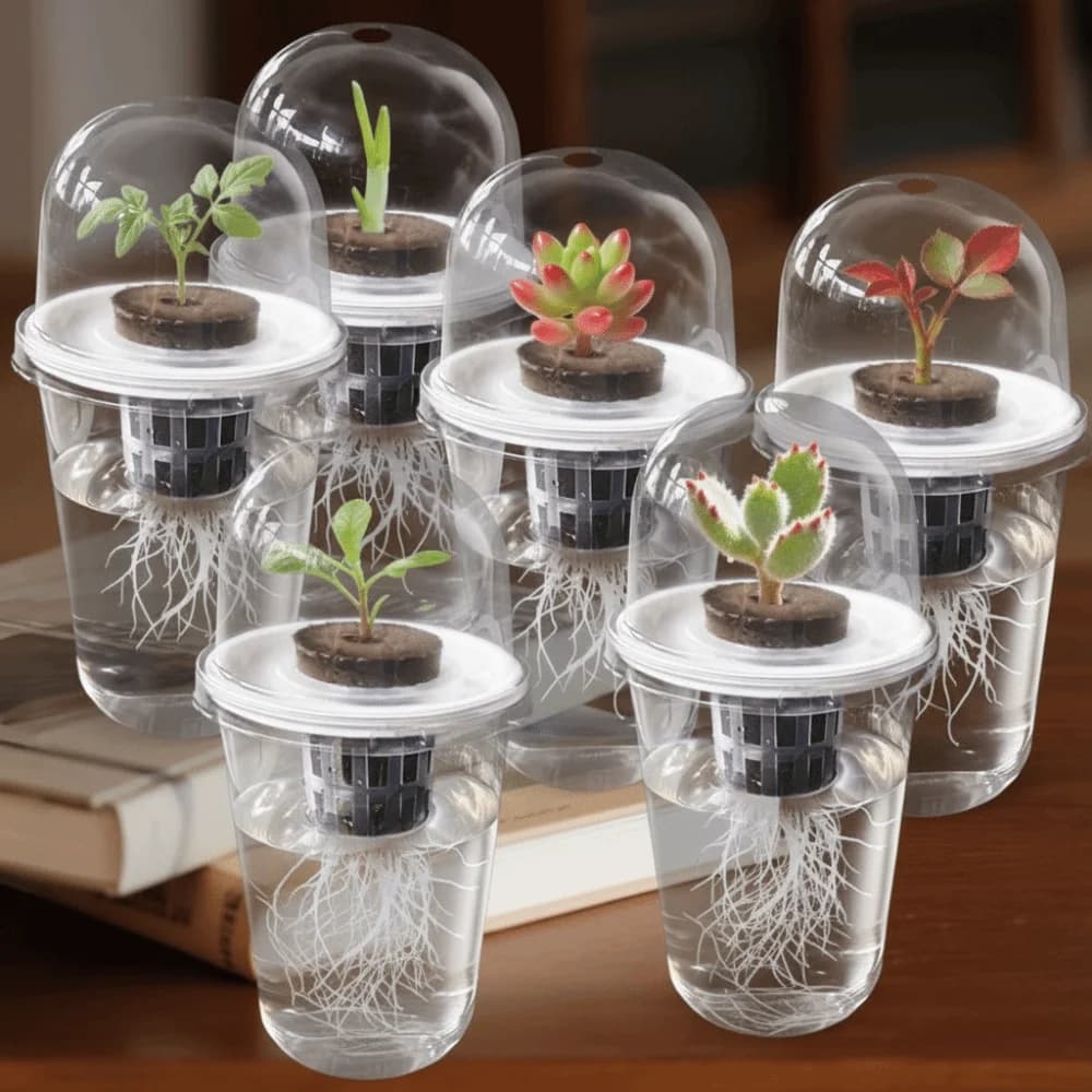 1-5 Transparent Vase Parts for Germination Plants, Hydroponic Containers for Semi, Reusable Trays and Durevoli for Germination, Transparent Plastic Covers