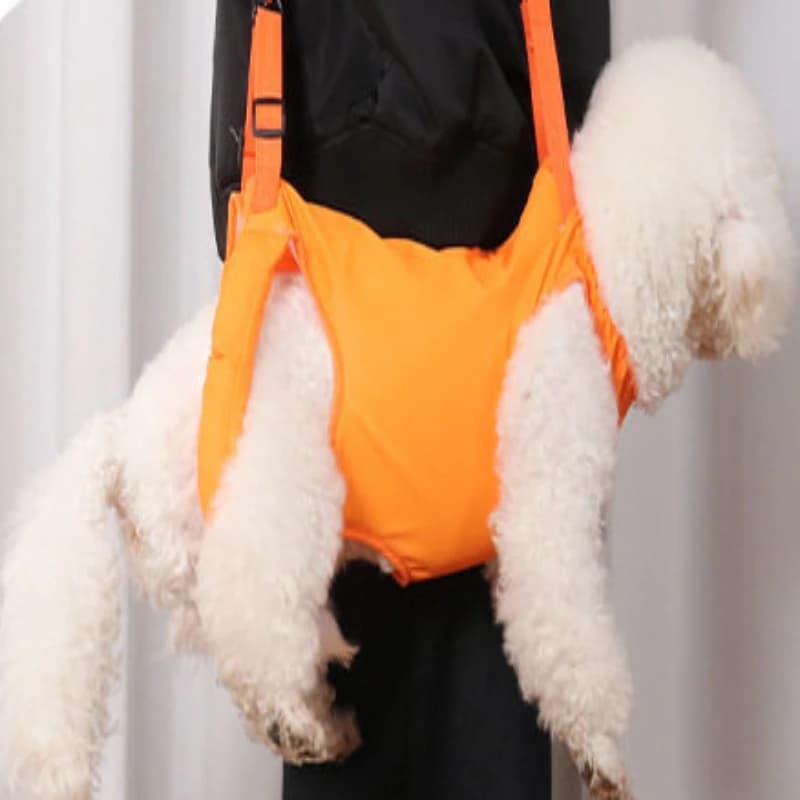 Adjustable Pet Lift Harness for Senior Disabled Dogs & Cats, Post-Op Assist Sling, Wearable Lifting Strap, Easy for Potty