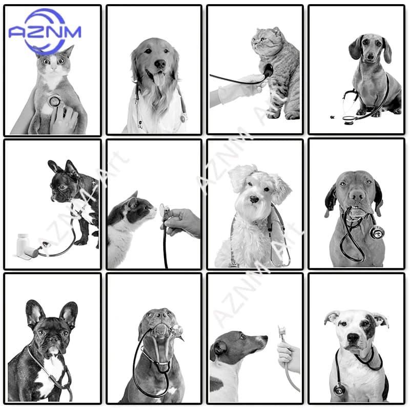Poster Veterinario con Cani e Gatti con Stetoscopio, Dipinto su Tela, Decorazione Murale per Studio Veterinario e Clinica Animale