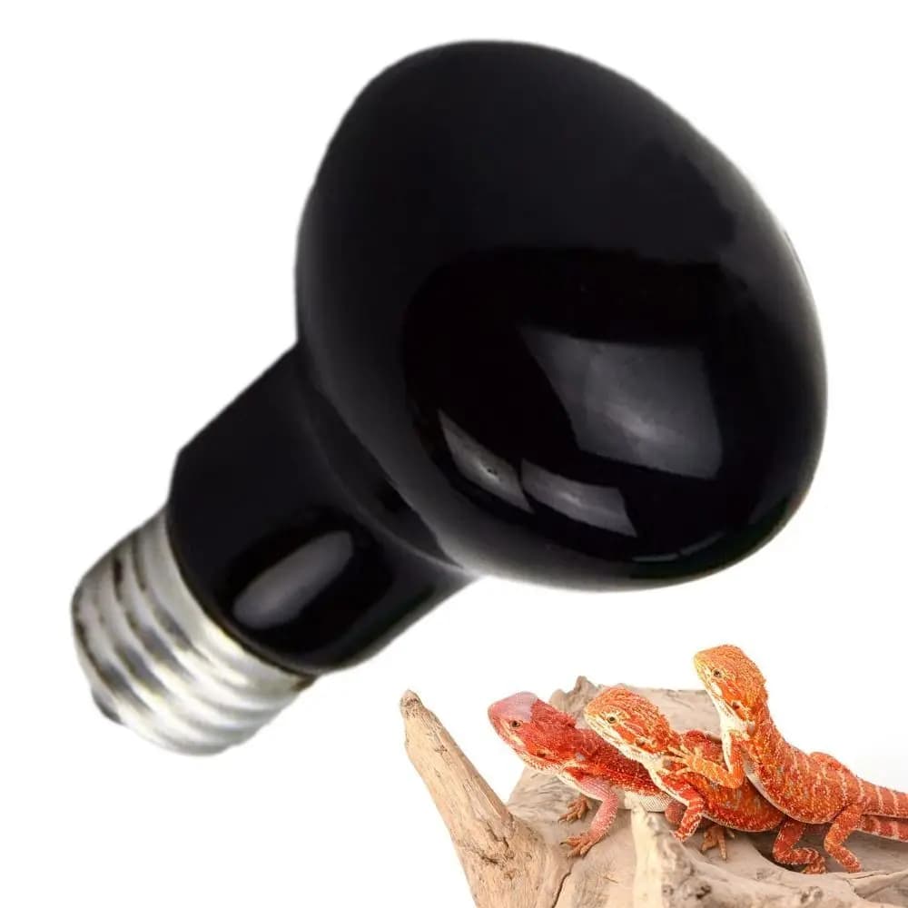 Lampada riscaldante per animali domestici a LED a infrarossi Lampadina di calore per rettili regolabile UVA durevole 4 tipi 25W/50W/75W/100W Lampadina UVA Day Night Rettili