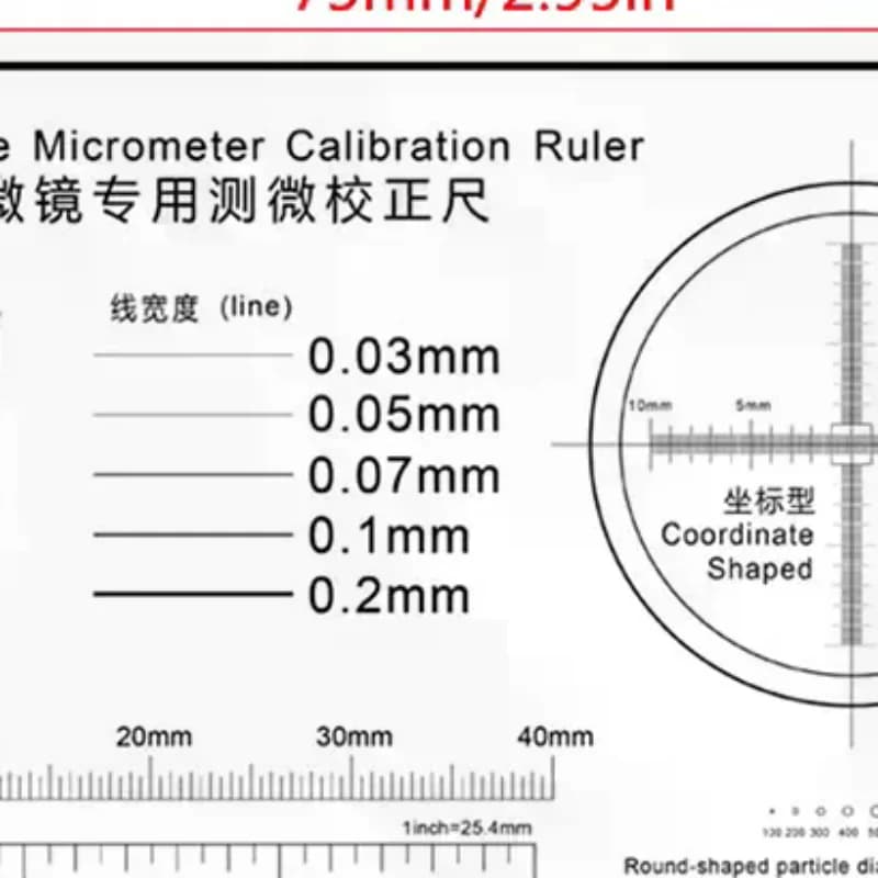 Strumento di Misurazione di Precisione per Microscopio, Calibrazione di Larghezza Linee e Diametro Particelle, Calibro a Punti ad Alta Precisione
