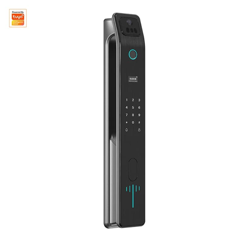 Tuya Smart Door Lock Passcode virtuale Impronta digitale Home Lock Videocitofono Rfid Riconoscimento facciale 3D Serratura digitale con ingresso senza chiave