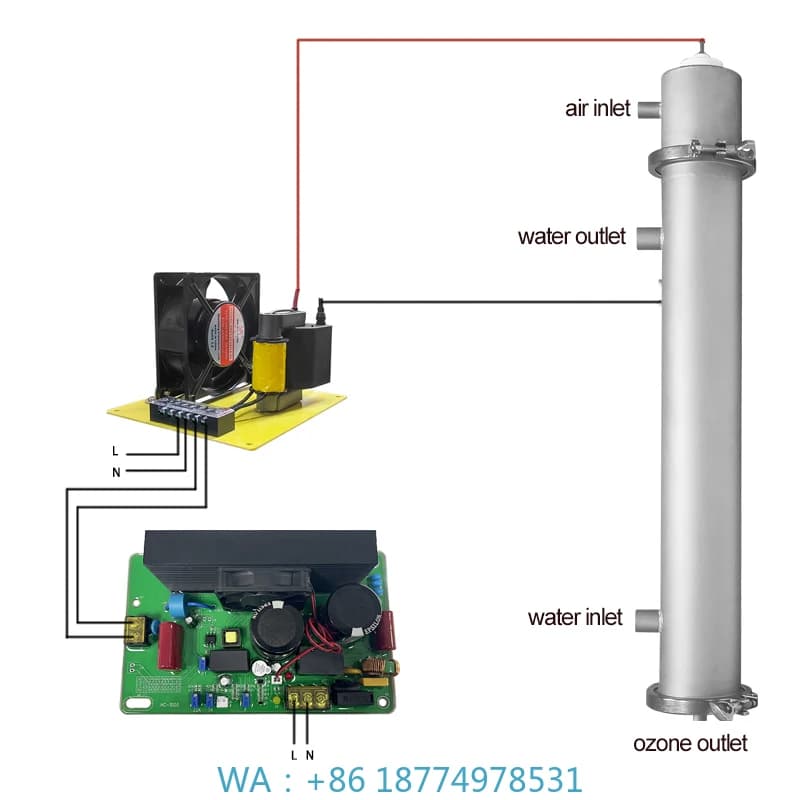Depuratore d'acqua agricolo Purificatore d'aria Kit generatore di ozono per trattamento dell'acqua 100 g per acquacoltura
