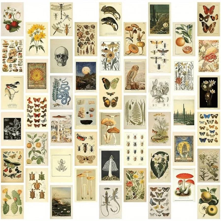 Set da 50 pezzi/set di set di carte da collezione vintage, carta naturale di funghi a farfalla in stile vintage, utilizzata per la decorazione della stanza
