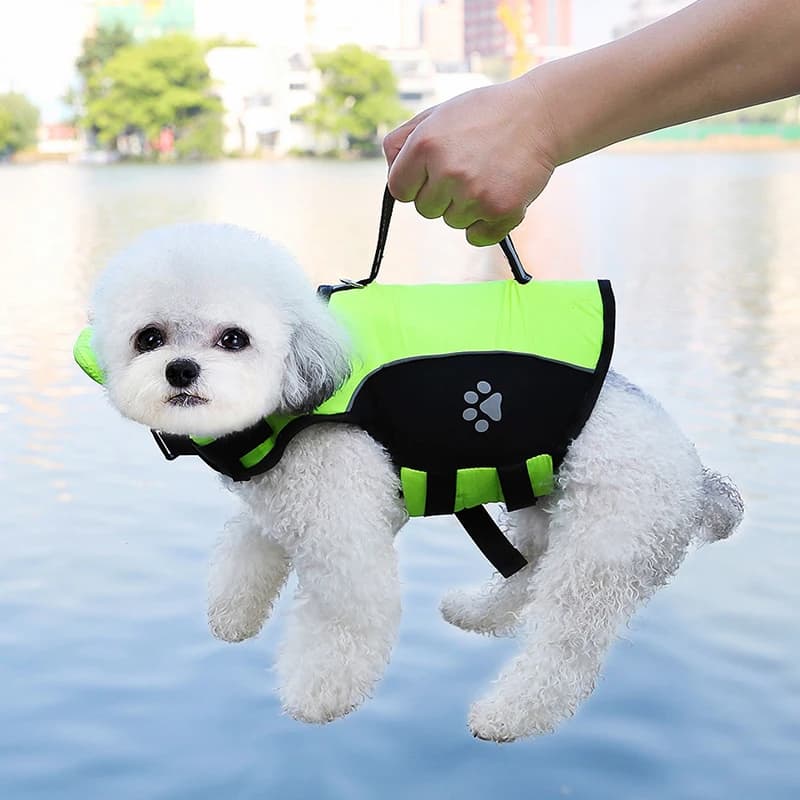 Il costume da bagno per animali domestici può essere trasportato a mano per cani di piccola taglia può essere tirato in stile giubbotto di salvataggio per cani, vestiti universali per tutte le stagioni