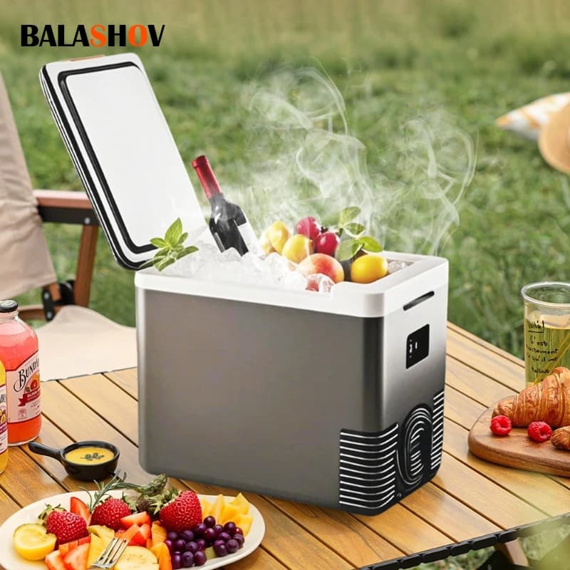 220V Frigorifero domestico 12V Frigorifero per auto Congelatore esterno Riscaldatore 10L Mini Auto Dispositivo di raffreddamento e scaldino Frigo elettrico portatile Icebox