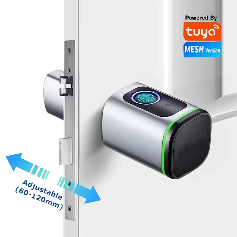 Serratura a cilindro intelligente TTlock Scheda biometrica per impronte digitali Serratura a cilindro Euro Serratura elettronica intelligente per porta