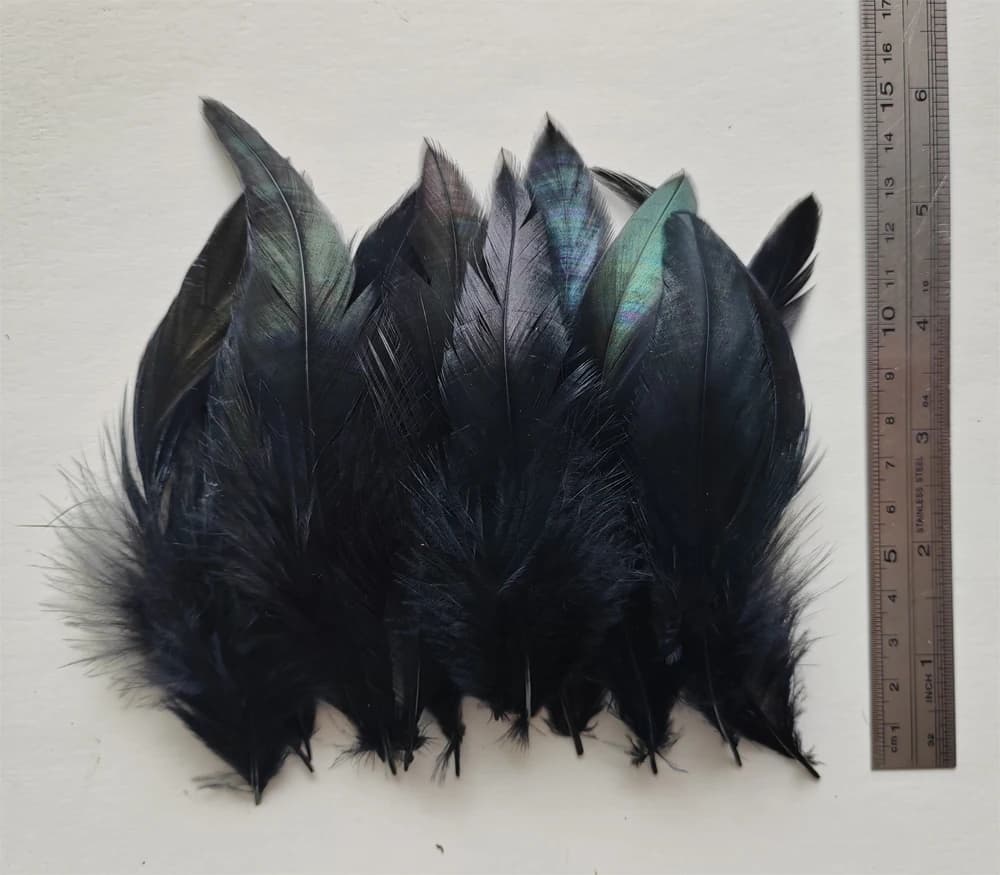 200Pcs Natural Iridescent Black Rooster Feathers, Raw Plumage for Headdress Hat Costume Dreamcatcher DIY Craft Party Decor
