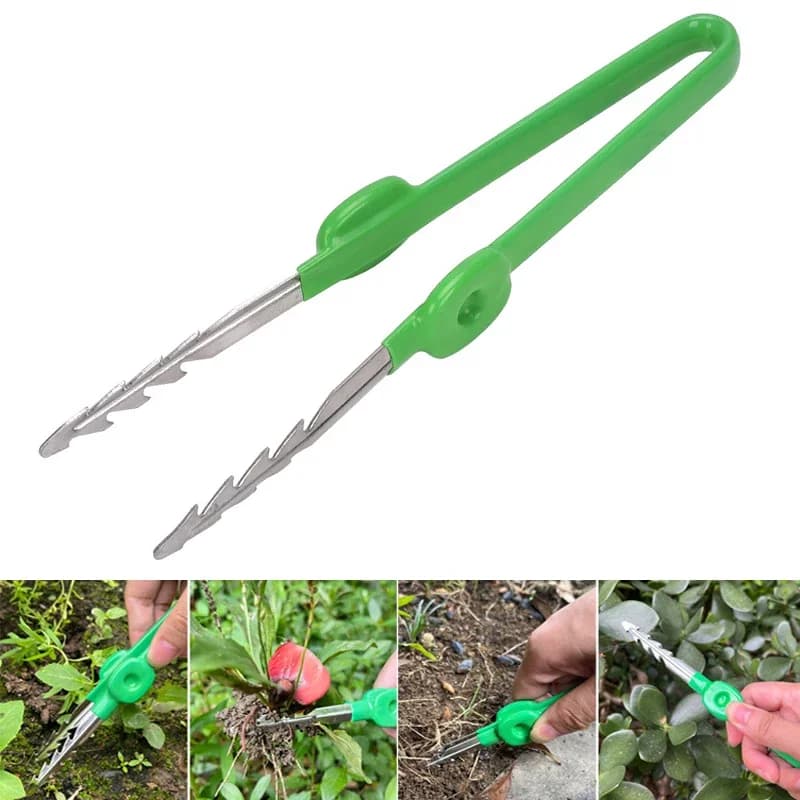 1Pc Pinzette da giardinaggio Pianta grassa in vaso Trapianto Piantine Pinzette Per uso domestico Giardino esterno Diserbo Clip Strumenti