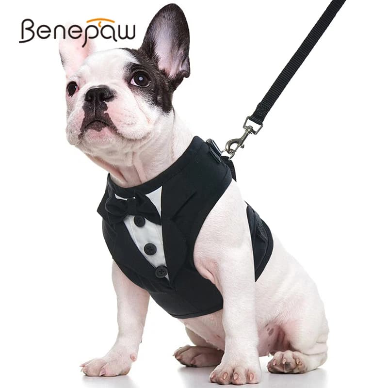 Benepaw No Pull Tuxedo guinzaglio per cani Set morbido e traspirante papillon in rete cucciolo Pet Vest Harness fidanzamento compleanno san valentino