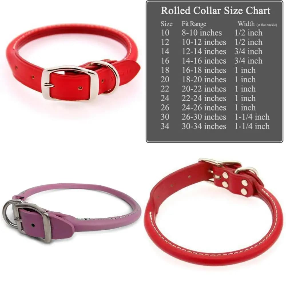 Collare per cani in pelle rossa larga 1 pollice lungo 24 pollici, realizzato a mano negli Stati Uniti, accessorio per animali durevole ed elegante