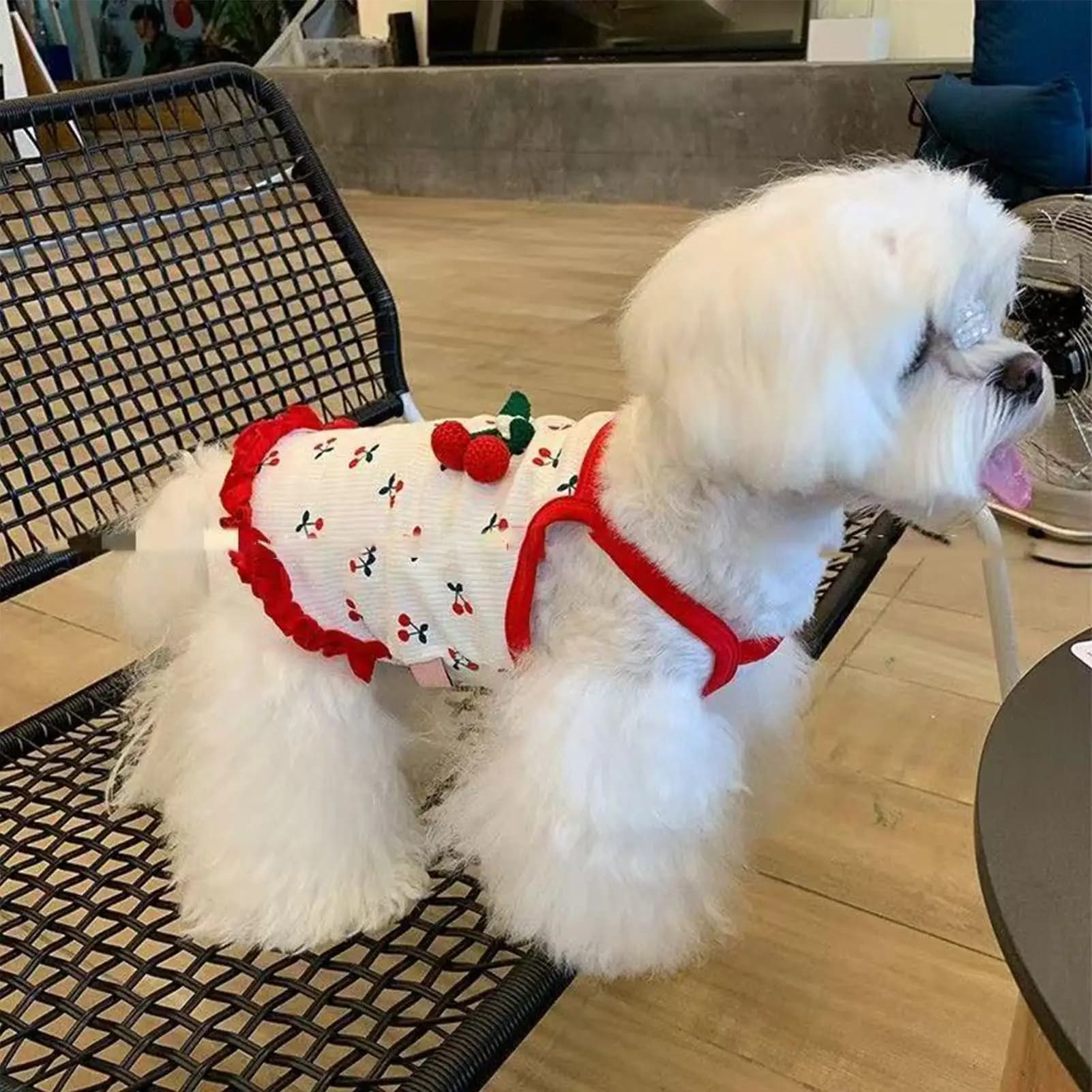 Simpatico pettorina per cuccioli per la primavera estate, elegante gilet per cani morbido e traspirante, abbigliamento traspirante per cuccioli per feste di compleanno