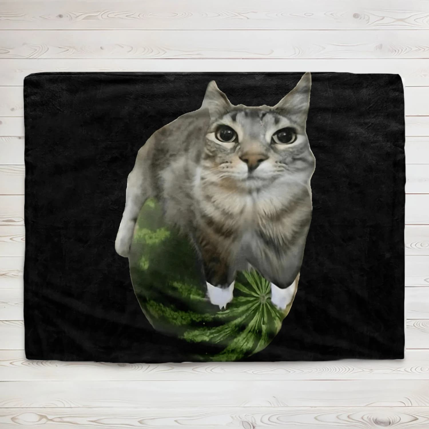 130X150 CM Anguria Gatto Silly Cat Meme Coperta stampata Camping Lancio Letto Divano Ufficio Aria condizionata Morbida per il tempo libero Ventole di viaggio
