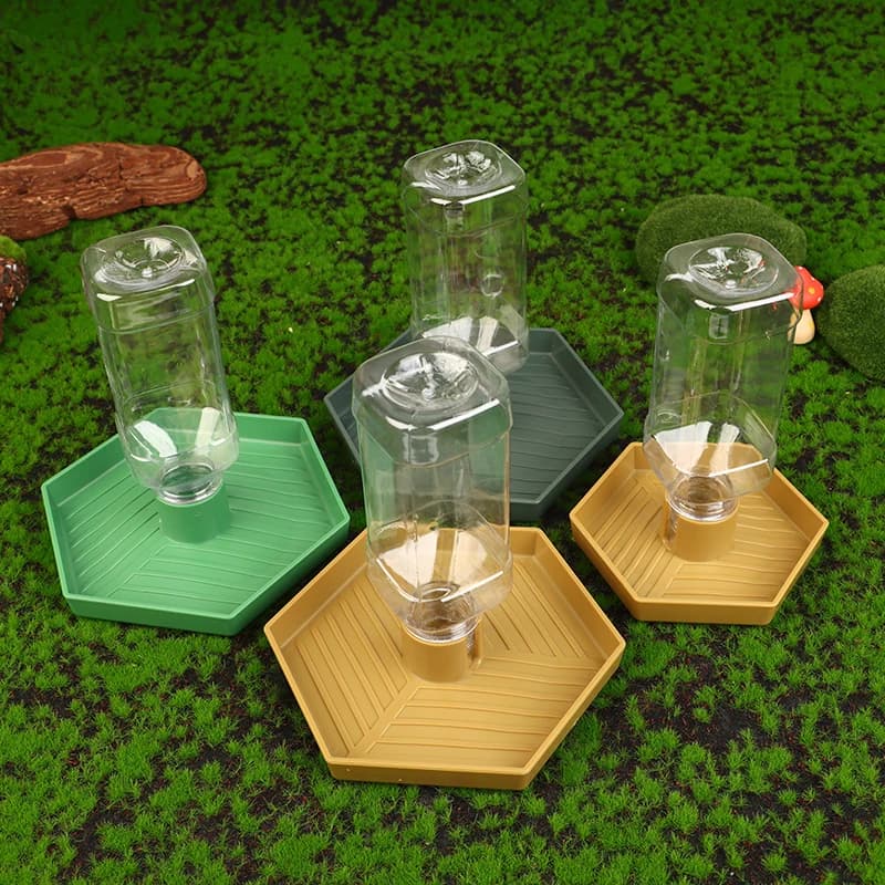 Alimentatore per piccoli animali Reptili Acqua Alimentatore Ciotola Bottiglia d'acqua per rettili Distributore automatico di acqua antiscivolo per animali domestici per lucertole