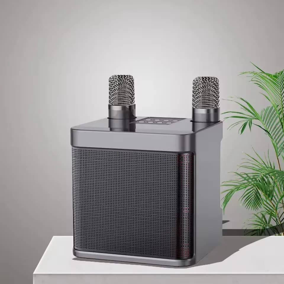 Altoparlante Bluetooth Portatile per Karaoke con Microfono, Cassa Audio Wireless, Colonna Sonora