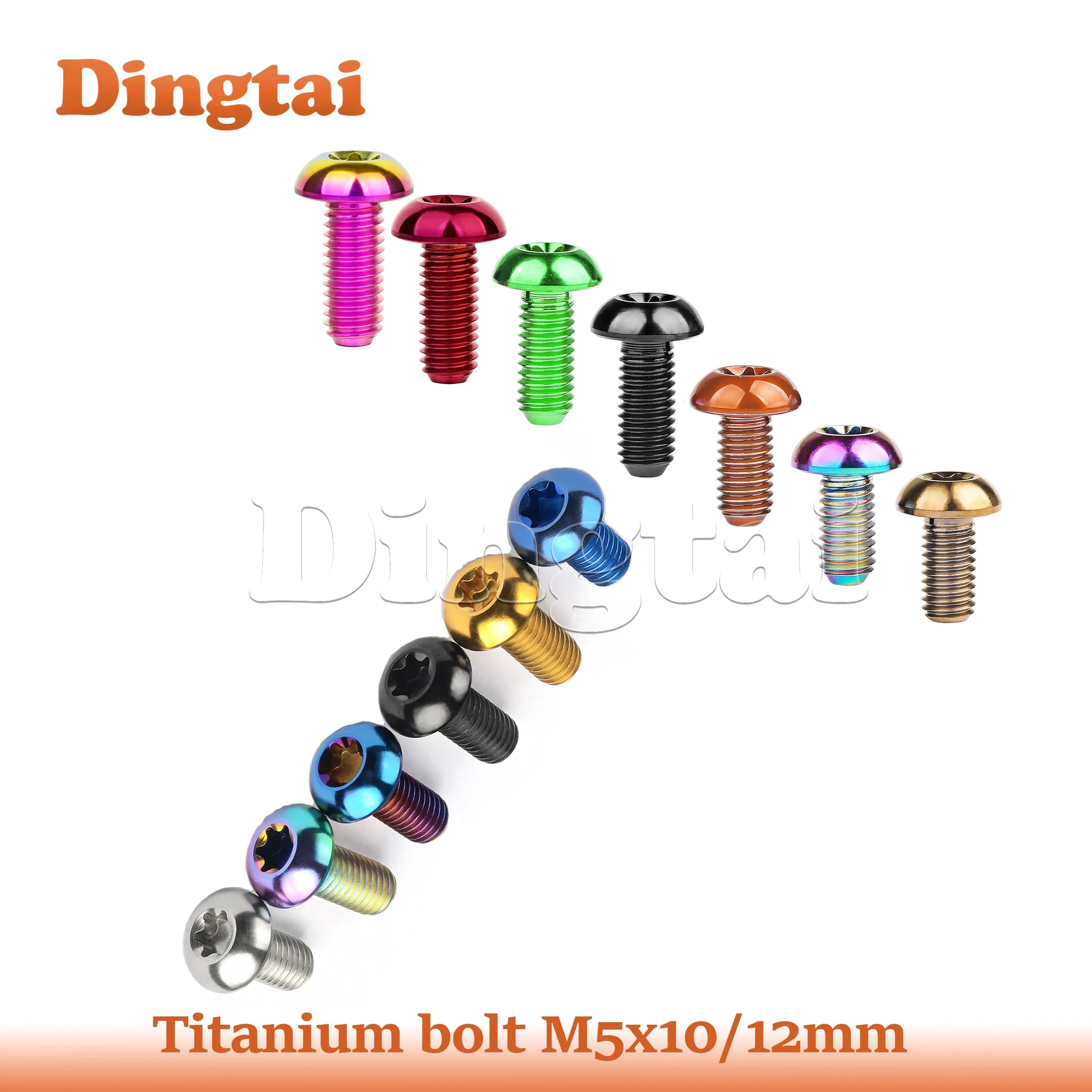Dingtai Titanium Bolt M5x10 12mm T25 Torx Head Bicycle Water Bottle Cage Screw Bicycle Rotor Fastening Disc Brake Fixing