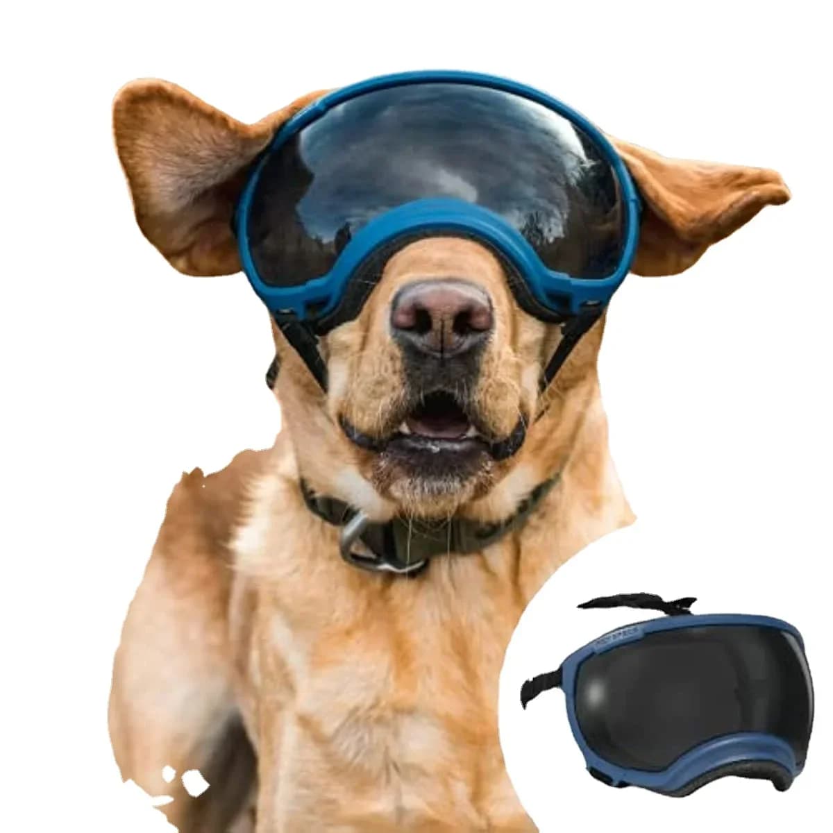 ATUBAN Dog Glasses Anti UV Strong Shock Resistant Elastic Puppy Adjustable Rack Dog Glasses Large Size Sunglasses Breathable for Pets