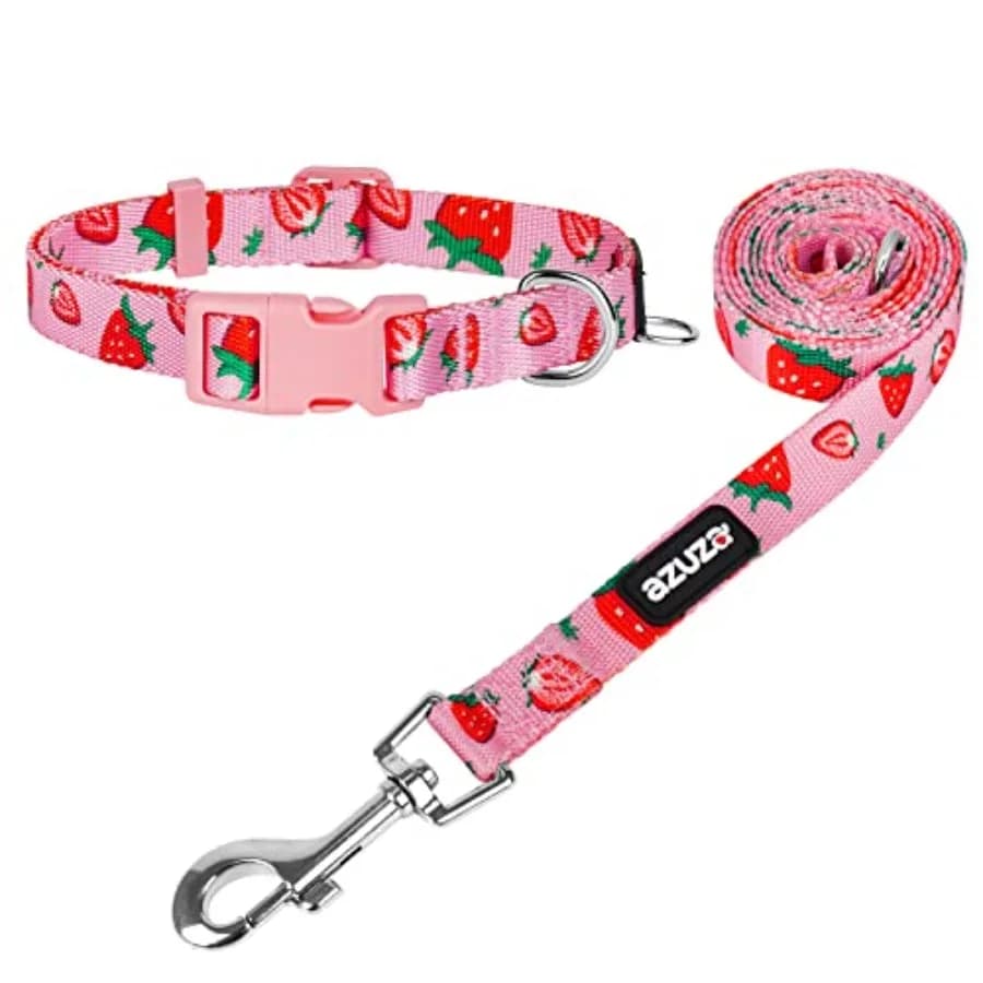 Dog Collar and Leash Set, Collar Nylon and Matching Leash for Small Dogs, Strawberry