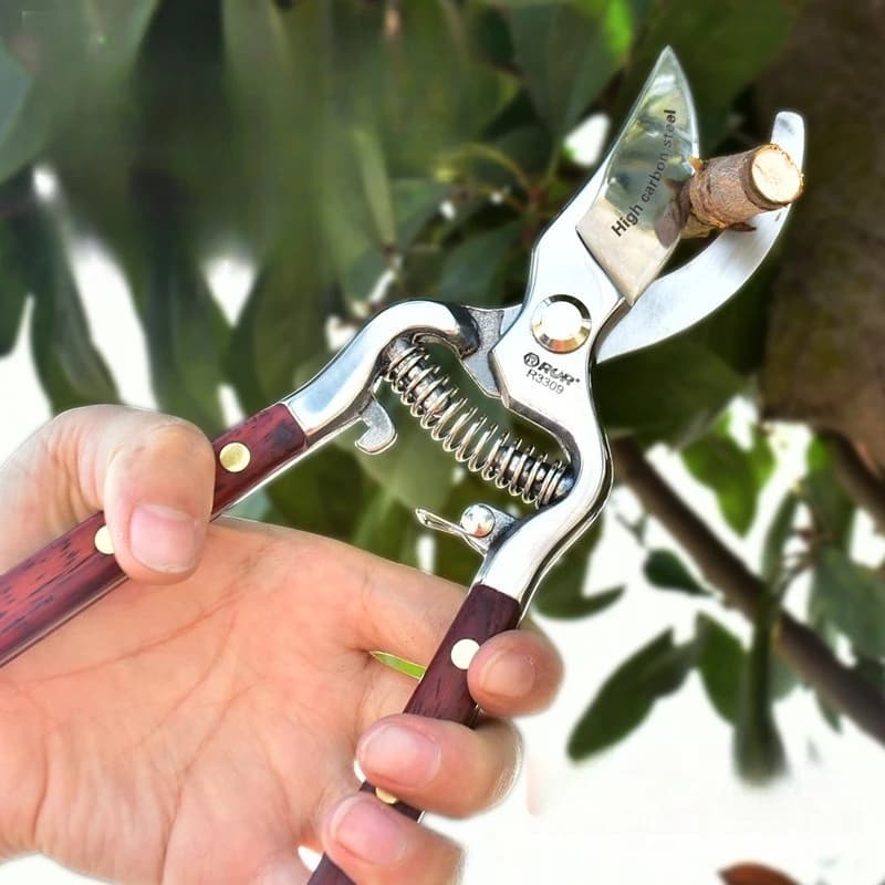 Forbici per Potatura Alberi da Frutto, Cesoie per Rami, Forbici da Giardinaggio, Cesoie per Fiori e Rami Spessi