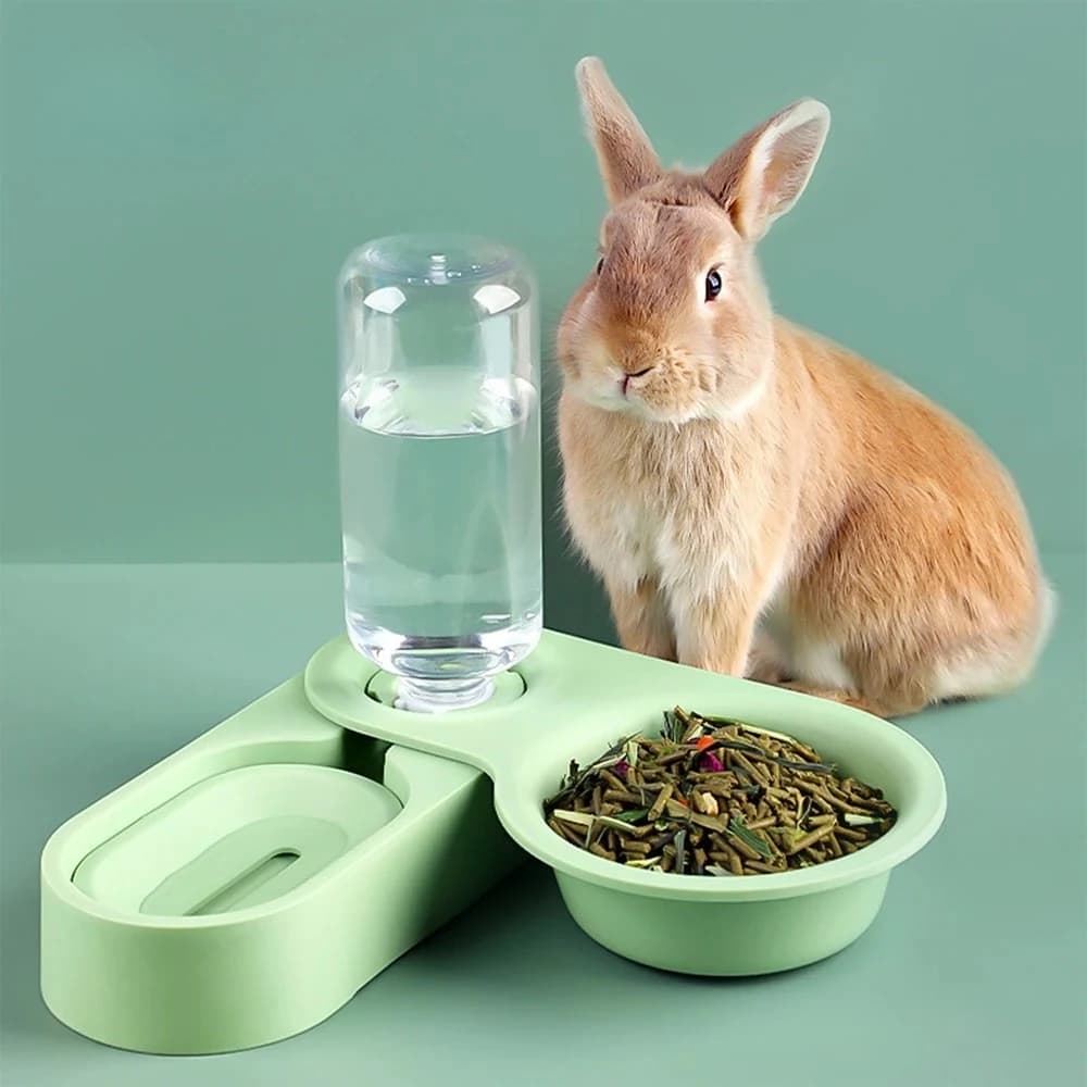 Ciotola per Alimenti e Fontanella per Conigli, Chinchilla e Porcellini d'India, Alimentatore Automatico Tutto-in-Uno, Ciotola Rialzata con Supporto