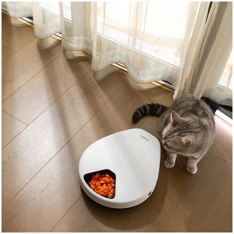 Mangiatoia refrigerata intelligente per animali domestici Regolazione a 3 livelli Ciotole dietetiche automatiche per animali domestici intelligenti UBPET per acquisti online di cibo per gatti